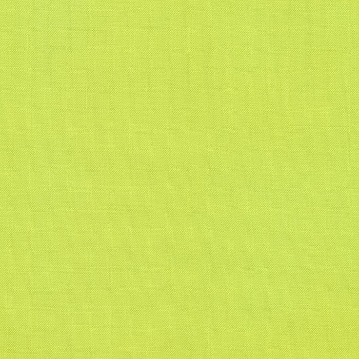 Kona Solids - Cactus #199