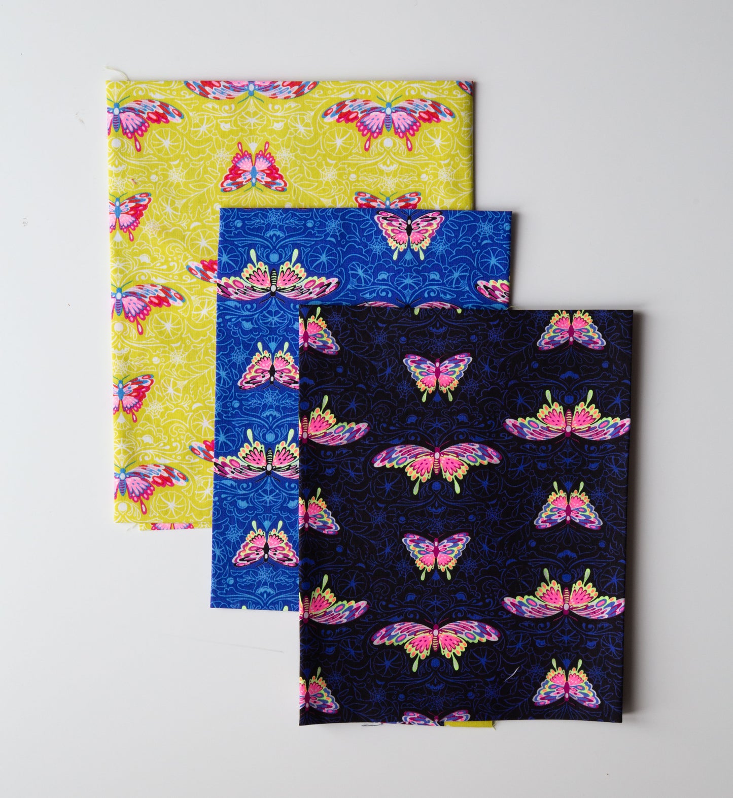 Glow Garden - Morning Moth - Blacklight - PRE-ORDER (DUE JULY 2025)