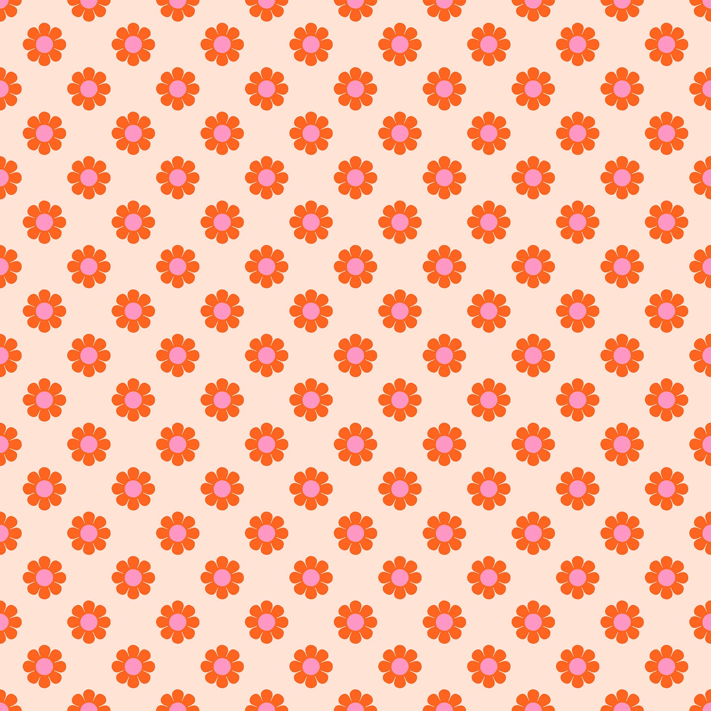Meadow Star - Honey Pie Peach