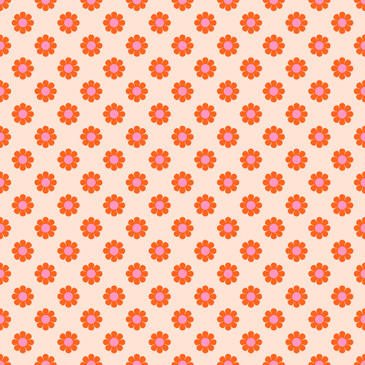 Meadow Star - Honey Pie Peach