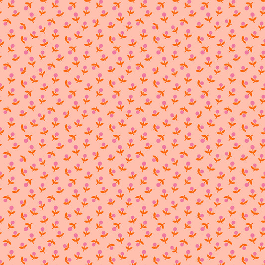 Meadow Star - Sprout Peach
