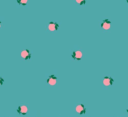 Rise & Shine Tangerines - Succulent