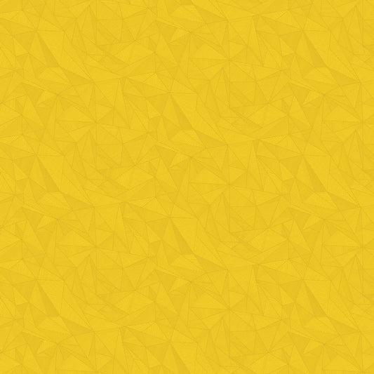 40 - Terra - Yellow Ranger - PRE-ORDER (DUE w/c 30/6/25)