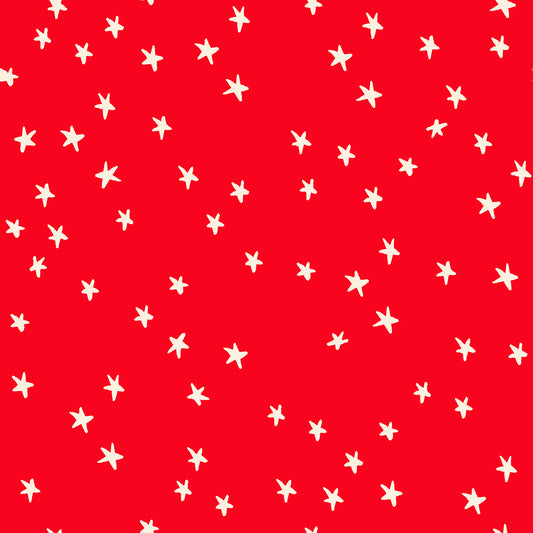 Starry - Ladybug * NEW COLOURS *