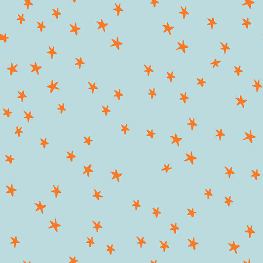 Starry - Polar * NEW COLOURS *