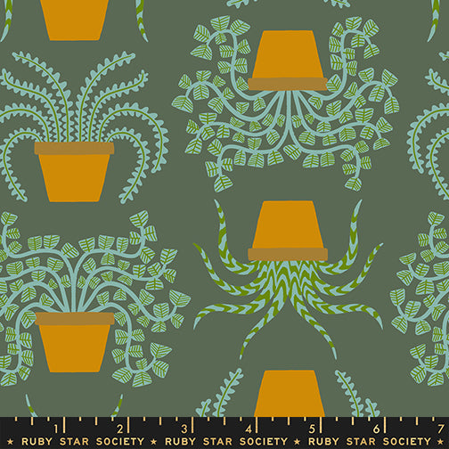 Calathea - Planties - Seaweed