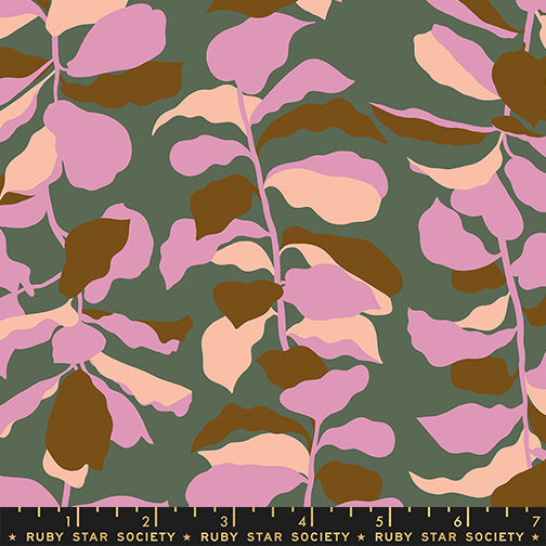 Calathea - Fiddle Leaf - Seaweed