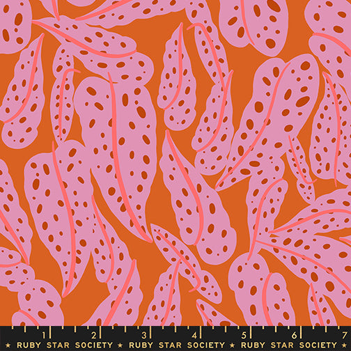 Calathea - Overlapping Leaves - Pecan