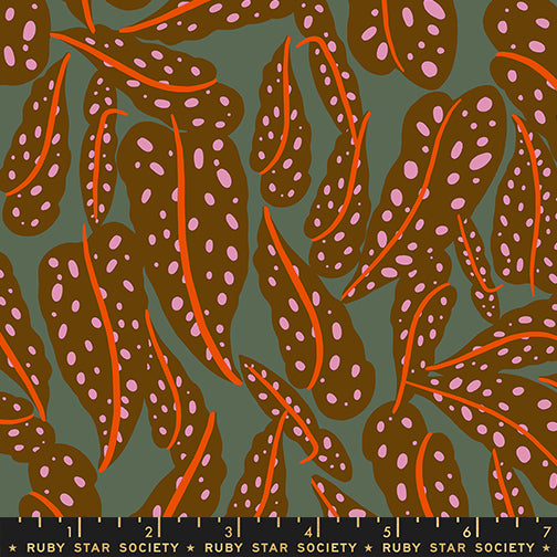 Calathea - Overlapping Leaves - Cocoa