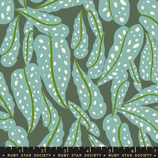 Calathea - Overlapping Leaves - Seaweed