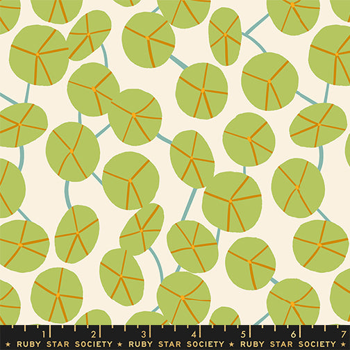 Calathea - Pilea - Natural