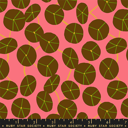 Calathea - Pilea - Strawberry