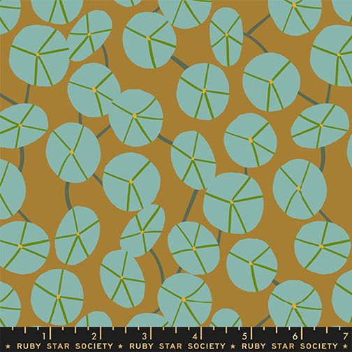 Calathea - Pilea - Suede