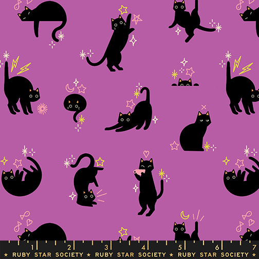 Freaky Familiars - Catwalk - Witchy